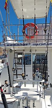 La aventura de la pesca con cebo vivo continúa. White Marlin Gran Canaria