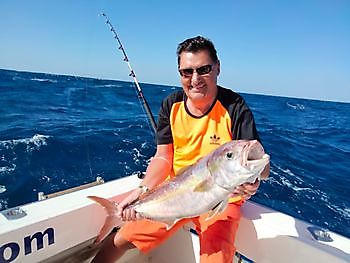 Fishing with live bait. White Marlin Gran Canaria