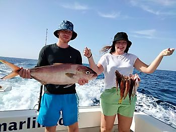 Fishing with live bait again. White Marlin Gran Canaria