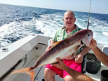 Wieder mit Lebendköder fischen. White Marlin Gran Canaria