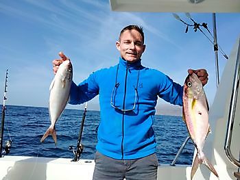 Weer vissen met levend aas. White Marlin Gran Canaria