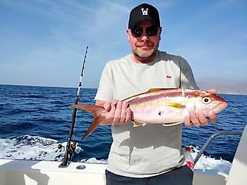 Geweldige visdag weer met levend aas. White Marlin Gran Canaria