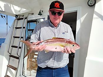 Gran día de pesca con carnada viva nuevamente. White Marlin Gran Canaria