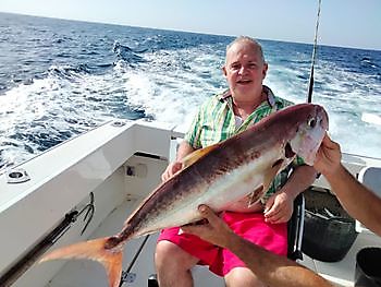 Gran día de pesca con carnada viva nuevamente. White Marlin Gran Canaria
