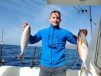 Toller Angeltag wieder mit Lebendköder. White Marlin Gran Canaria