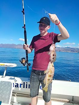 Het levend aas vissen avontuur gaat verder. White Marlin Gran Canaria