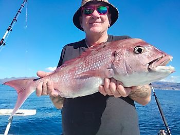 La aventura de la pesca con cebo vivo continúa. White Marlin Gran Canaria