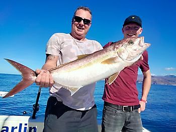 Das Lebendköderfischen-Abenteuer geht weiter. White Marlin Gran Canaria