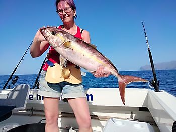 Ahí vamos de nuevo. White Marlin Gran Canaria