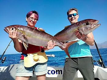 Ahí vamos de nuevo. White Marlin Gran Canaria