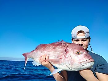 More from the bottom fishing. White Marlin Gran Canaria