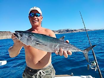 More from the bottom fishing. White Marlin Gran Canaria