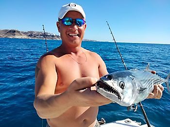 Pink Denton (Sama), Amberjack, Sierras... White Marlin Gran Canaria