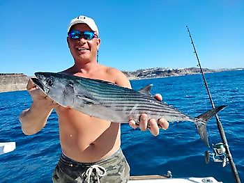 Pink Denton (Sama), Amberjack, Sierras... White Marlin Gran Canaria