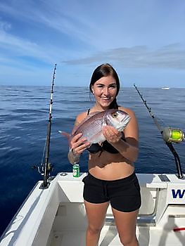 Otro día de Pesca con Mosca. White Marlin Gran Canaria