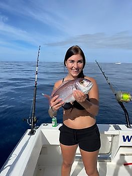 Red Snappers-dag. White Marlin Gran Canaria