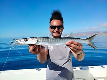 Fly fishing. White Marlin Gran Canaria