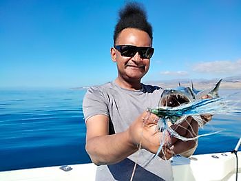 Pesca con mosca. White Marlin Gran Canaria