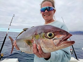 Amberjack vissen. White Marlin Gran Canaria