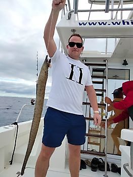 Amberjack vissen. White Marlin Gran Canaria