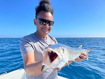 Another day of Fly Fishing. White Marlin Gran Canaria