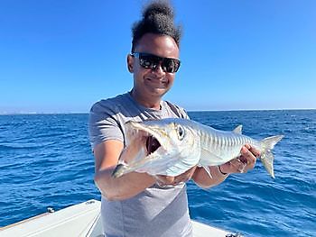 Ein weiterer Tag des Fliegenfischens. White Marlin Gran Canaria