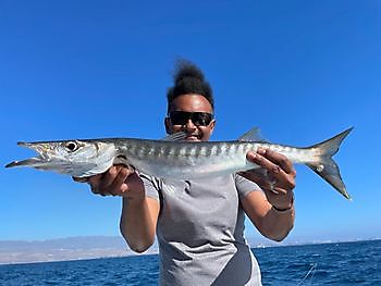 Ein weiterer Tag des Fliegenfischens. White Marlin Gran Canaria