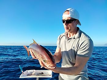 Reise mit Sonderaufgaben. White Marlin Gran Canaria