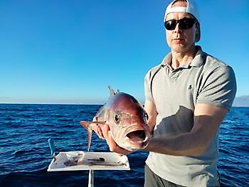 Algunas más a partir de hoy. White Marlin Gran Canaria