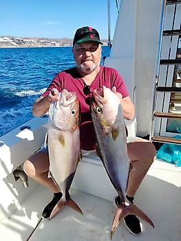 Amberjack explosie. White Marlin Gran Canaria