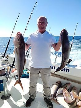 Amberjack explosie. White Marlin Gran Canaria