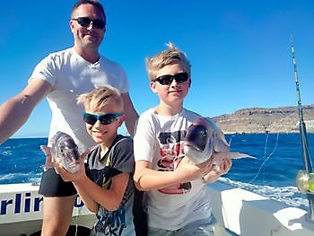 Die jungen Waffen. White Marlin Gran Canaria