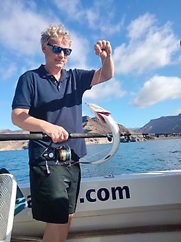 Kommen Sie mit uns angeln. White Marlin Gran Canaria