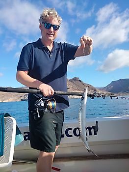 Kommen Sie mit uns angeln. White Marlin Gran Canaria