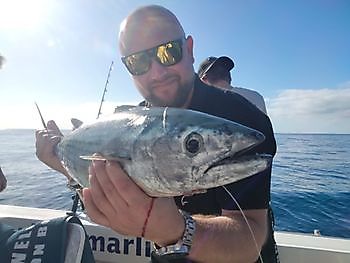 Kommen Sie mit uns angeln. White Marlin Gran Canaria