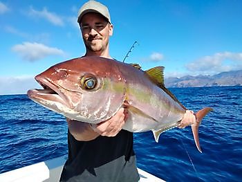 Calamares frescos como cebo. White Marlin Gran Canaria