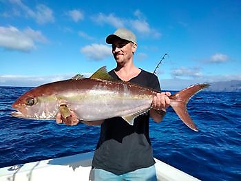 Frischer Tintenfisch als Köder. White Marlin Gran Canaria