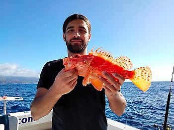 Calamares frescos como cebo. White Marlin Gran Canaria