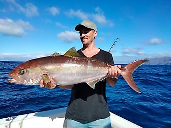 Calamares frescos como cebo. White Marlin Gran Canaria