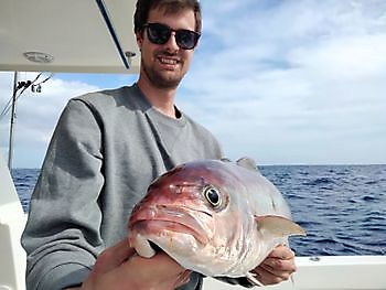 jackpot White Marlin Gran Canaria