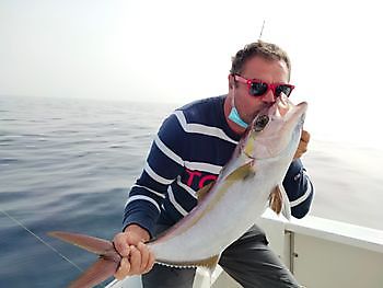 Amberjack explosie. White Marlin Gran Canaria