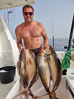 Amberjack-Explosion. White Marlin Gran Canaria