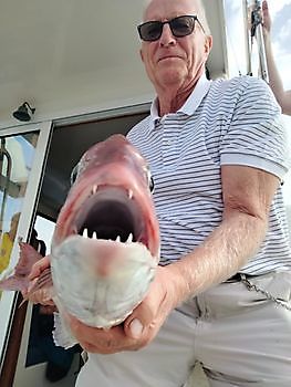 Ute og fiske igjen. White Marlin Gran Canaria