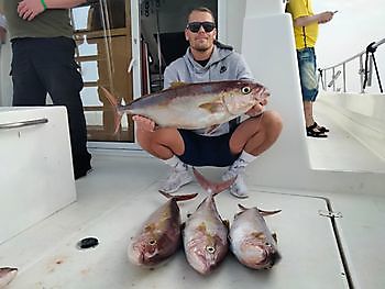 Ute og fiske igjen. White Marlin Gran Canaria