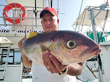 Fishing with D-r Edelso. White Marlin Gran Canaria