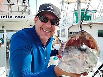 Pescando con el Dr Edelso. White Marlin Gran Canaria