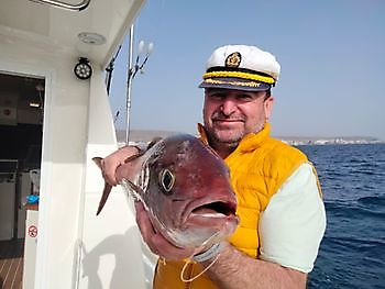 Algunas de las capturas de hoy. White Marlin Gran Canaria