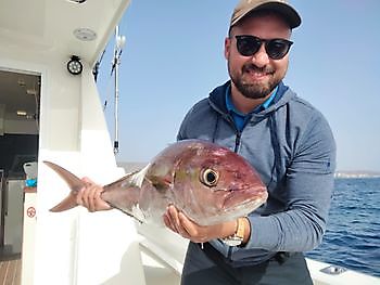 Verjaardag vissen White Marlin Gran Canaria