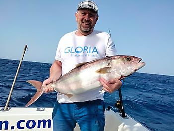 Fishing with the wind. White Marlin Gran Canaria