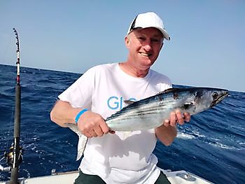 Fiske med vinden. White Marlin Gran Canaria